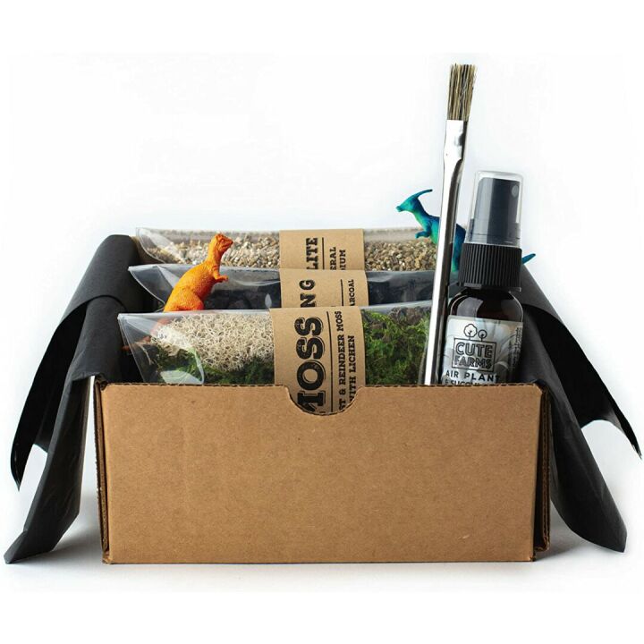 Cute Farms Terrarium Starter Kit for DIY Enthusiasts