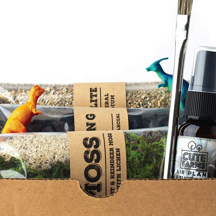 Cute Farms Terrarium Starter Kit for DIY Enthusiasts