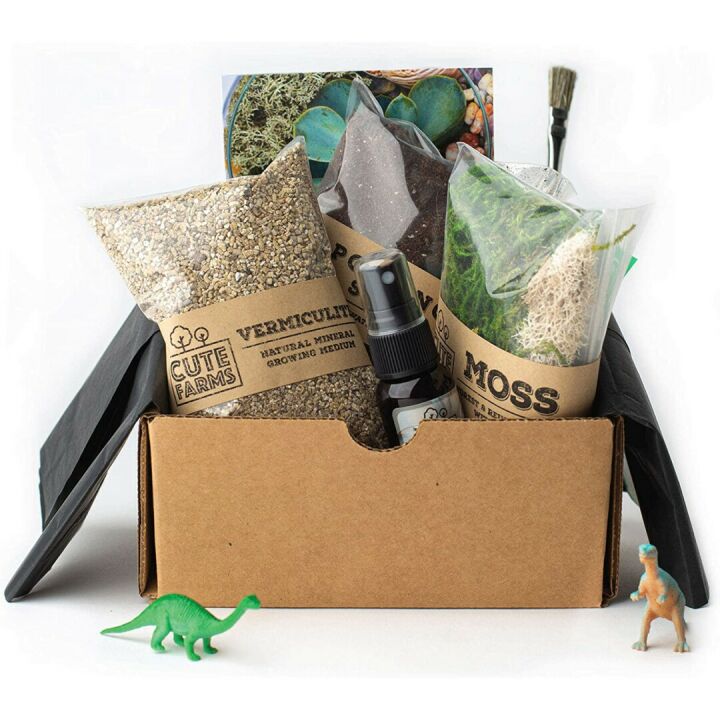 Cute Farms Terrarium Starter Kit for DIY Enthusiasts