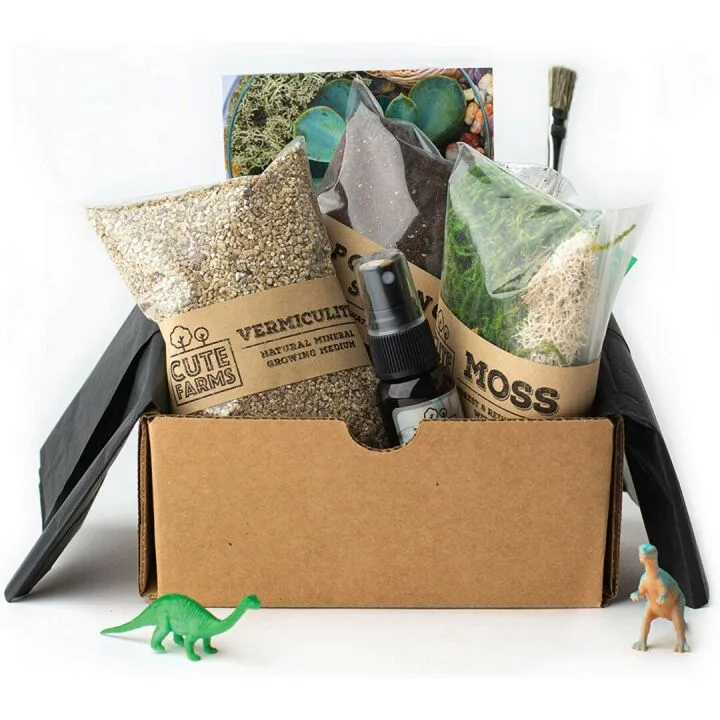 Cute Farms Terrarium Starter Kit for DIY Enthusiasts