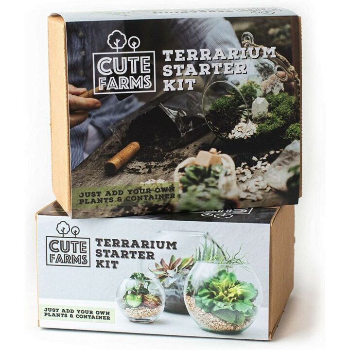 Cute Farms Terrarium Starter Kit for DIY Enthusiasts