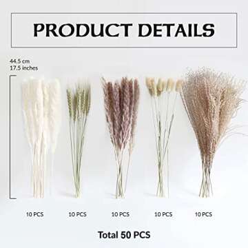 Natural Pampas Grass Decor 50 Pcs Dried Pampas Grass, White Bunny Tail Wheat Pampas Grass Decor Tall, Reed Grass Bouquet, Pompous Grass, Fluffy Stem Bouquet for Home Decor Wedding Boho Decor (50PCS)