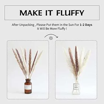 Natural Pampas Grass Decor 50 Pcs Dried Pampas Grass, White Bunny Tail Wheat Pampas Grass Decor Tall, Reed Grass Bouquet, Pompous Grass, Fluffy Stem Bouquet for Home Decor Wedding Boho Decor (50PCS)