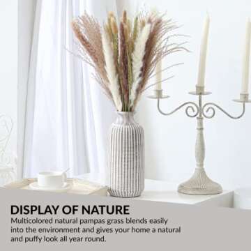 Natural Pampas Grass Decor 50 Pcs Dried Pampas Grass, White Bunny Tail Wheat Pampas Grass Decor Tall, Reed Grass Bouquet, Pompous Grass, Fluffy Stem Bouquet for Home Decor Wedding Boho Decor (50PCS)