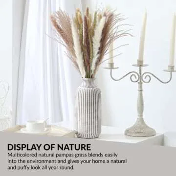 Natural Pampas Grass Decor 50 Pcs Dried Pampas Grass, White Bunny Tail Wheat Pampas Grass Decor Tall, Reed Grass Bouquet, Pompous Grass, Fluffy Stem Bouquet for Home Decor Wedding Boho Decor (50PCS)