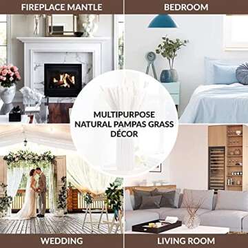 Natural Pampas Grass Decor 50 Pcs Dried Pampas Grass, White Bunny Tail Wheat Pampas Grass Decor Tall, Reed Grass Bouquet, Pompous Grass, Fluffy Stem Bouquet for Home Decor Wedding Boho Decor (50PCS)