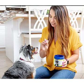 Vetericyn All-in 1 Multifunctional Dog Supplement | Digestive Enzymes + Glucosamine and Chondroitin ...