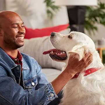 Milk-Bone Original Dog Treats in 10 Pound Box for Large Dogs