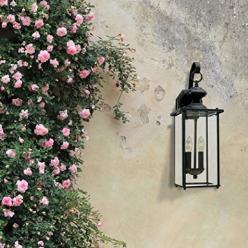 Jamestowne Two-Light Outdoor Lantern in Black Finish