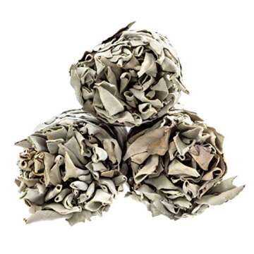 White Sage Sticks - 9" Large Smudge Incense Sticks for Sage Smudge Kit Refill, Meditation Accessories, Home Cleansing, Spiritual Purification, Witchcraft Supplies - Pack of 3 - Alternative Imagination