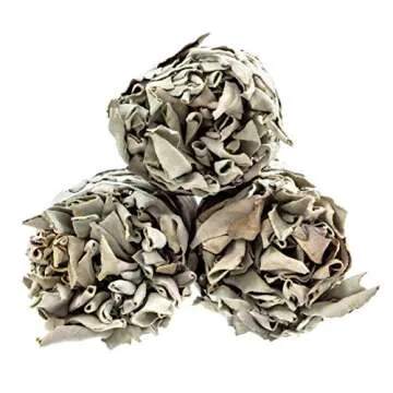 White Sage Sticks - 9" Large Smudge Incense Sticks for Sage Smudge Kit Refill, Meditation Accessories, Home Cleansing, Spiritual Purification, Witchcraft Supplies - Pack of 3 - Alternative Imagination