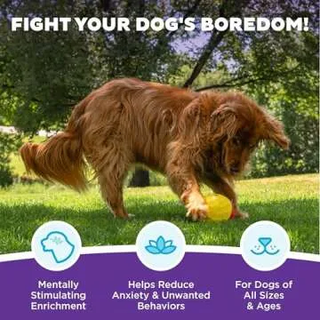 Outward Hound by Nina Ottosson Treat Tumble Interactive Puzzle Ball Dog Toy, Level 1 Beginner, Pink, Large