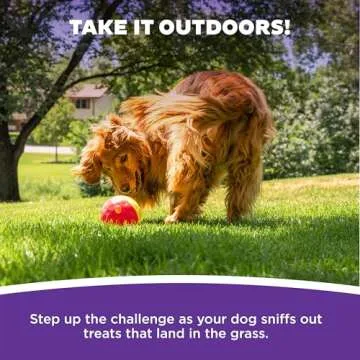 Outward Hound by Nina Ottosson Treat Tumble Interactive Puzzle Ball Dog Toy, Level 1 Beginner, Pink, Large