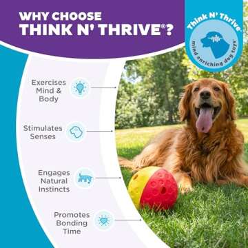 Outward Hound by Nina Ottosson Treat Tumble Interactive Puzzle Ball Dog Toy, Level 1 Beginner, Pink, Large