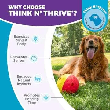 Outward Hound by Nina Ottosson Treat Tumble Interactive Puzzle Ball Dog Toy, Level 1 Beginner, Pink, Large