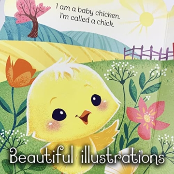 A Little Chick - Children's Animal Shaped Board Book