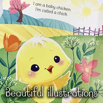 A Little Chick - Children's Animal Shaped Board Book