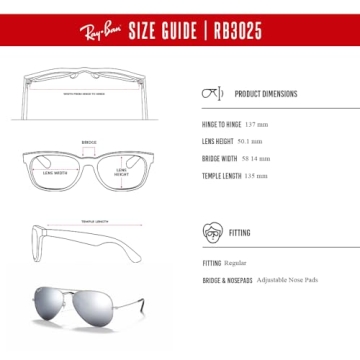 Ray-Ban RB3025 Aviator Sunglasses with iWear Kit
