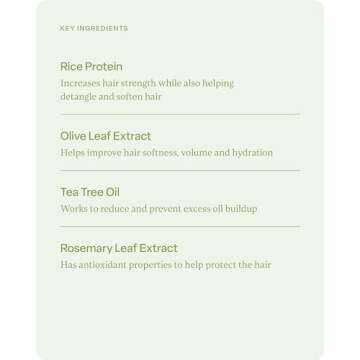 divi Volumizing Conditioner for Women and Men - Lightweight Volume Conditioner for Fine Hair - Designed to Strengthen and Protect the Hair from Damage, 12 Fl Oz.