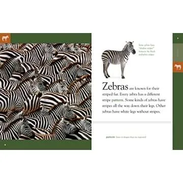 Amazing Animals: Zebras