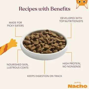 Made by Nacho Bone Broth Infused Dry Cat Kibble - Sustainably Caught Salmon and Pumpkin - Premium Grain-Friendly Cat Food 2lb Bag, Limited Ingredients