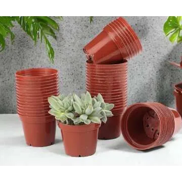 BUATİLO 50 Pcs 2 Inch Plastic Plant Nursery Pots, Seed Starter Pots and Cutting Pots for Succulent ...