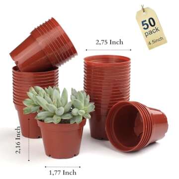 BUATİLO 50 Pcs 2 Inch Plastic Plant Nursery Pots, Seed Starter Pots and Cutting Pots for Succulent Plants,Drainage Hole Succulent Seedling Nursery Pots,Small Round Fresh Plastic Nursery Pots