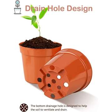 BUATİLO 50 Pcs 2 Inch Plastic Plant Nursery Pots, Seed Starter Pots and Cutting Pots for Succulent Plants,Drainage Hole Succulent Seedling Nursery Pots,Small Round Fresh Plastic Nursery Pots