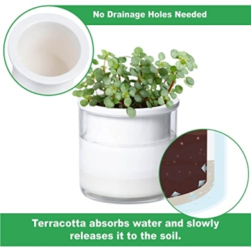 Elegant Self-Watering Terracotta Planter Pot for Easy Care