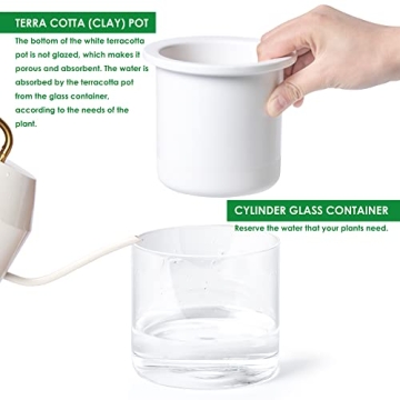 Elegant Self-Watering Terracotta Planter Pot for Easy Care