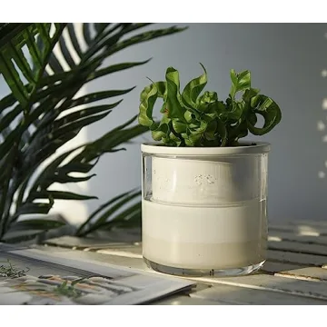 Elegant Self-Watering Terracotta Planter Pot for Easy Care