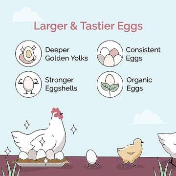 Mile Four Oyster Shell for Chickens - Natural Calcium Supplement, 50 lbs