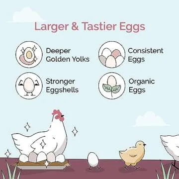 Mile Four Oyster Shell for Chickens - Natural Calcium Supplement, 50 lbs