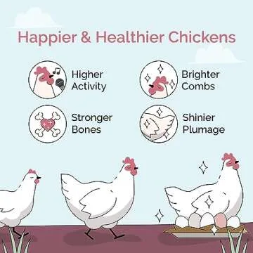 Mile Four Oyster Shell for Stronger Eggshells - 50 lbs