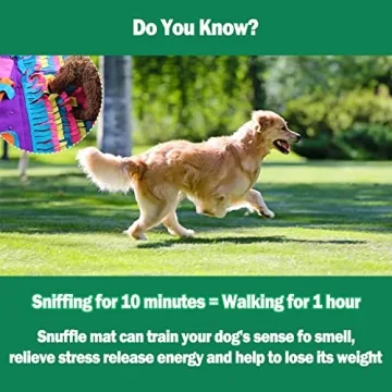 IFOYO Snuffle Mat for Dogs: Enrichment Game & Feeding Tool