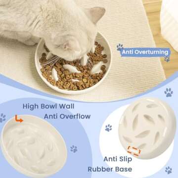 JuWow Cat Slow Feeder Bowl, Anti Gulping Healthy Eating Diet Pet Food Bowl, Non-Slip Whale Shape Design and Raised Rim Spill Proof Slow Bowl for Kitten(White)
