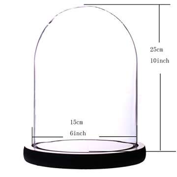 Somush Glass Cloche Bell Jar Display Dome with Black Wooden Base Dia 6" x H 10"