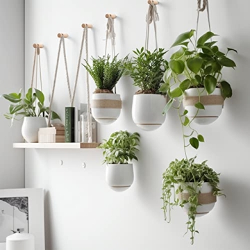 Stylish EGOMYRON Wood Hooks for Hanging Plants & Lights