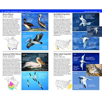 Comprehensive Guide to American Whiskey, Bourbon & Rye