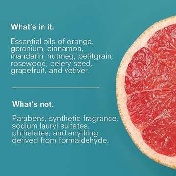 Public Goods Hand Soap | Cleansing Soap for Kitchen & Bathroom | Made with Natural Essential Oils | Paraben & Sulfate Free | Vegan Friendly | 34 Fl Oz Refill