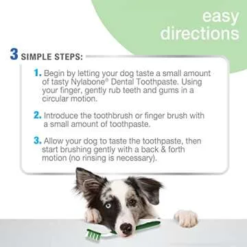 Nylabone Advanced Oral Care Natural Dog Dental Kit Peanut Flavor 2.5 oz.