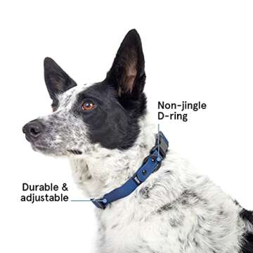 BarkBox Odor Proof & Waterproof Dog Collar - Adjustable Size for Puppies & Adult Dogs - Medium - Navy
