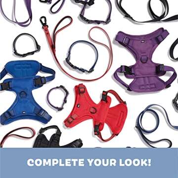 BarkBox Odor Proof & Waterproof Dog Collar - Adjustable Size for Puppies & Adult Dogs - Medium - Navy