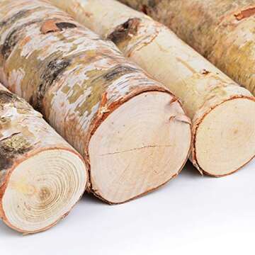 Kingcraft 6 Pack Large Birch Logs for Fireplace Unfinished Wood Crafts DIY Home Decorative Burning(Logs:2.4"-3.1" Dia. x 16" Long)