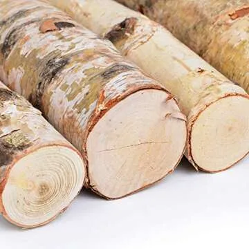 Kingcraft 6 Pack Large Birch Logs for Fireplace Unfinished Wood Crafts DIY Home Decorative Burning(Logs:2.4"-3.1" Dia. x 16" Long)