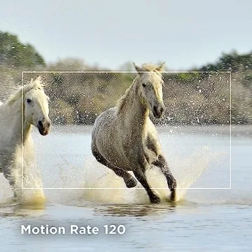 TCL 75-Inch S4 4K LED Smart TV with Fire TV