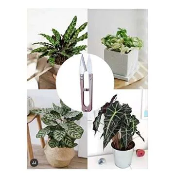 MUUZLL 3 Pack 4.1Inch Bonsai Pruning Scissors, Bud And Leaves Trimmer Yarn Thread Cutter Snips Trimming Supplies, Garden Plants, Gardening Clippers Flower, Stainless Steel Pruners Trimmers