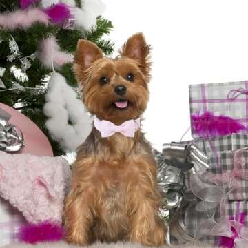 Unique style paws Spring Pink Dog Collar with Bow Pet Gift Adjustable Soft and Comfy Bowtie Collars for Small Medium Large Dogs