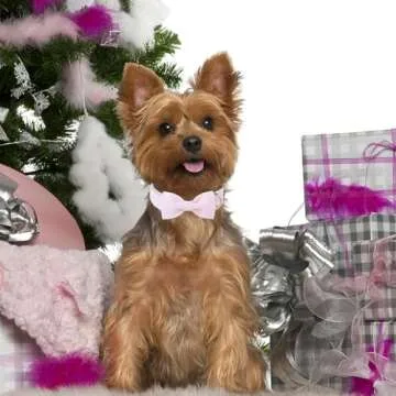 Unique style paws Spring Pink Dog Collar with Bow Pet Gift Adjustable Soft and Comfy Bowtie Collars for Small Medium Large Dogs