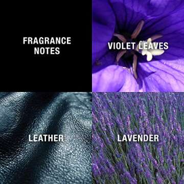 Curve Black For Men, Cologne Spray with Casual Day or Night Scent, 4.2 oz